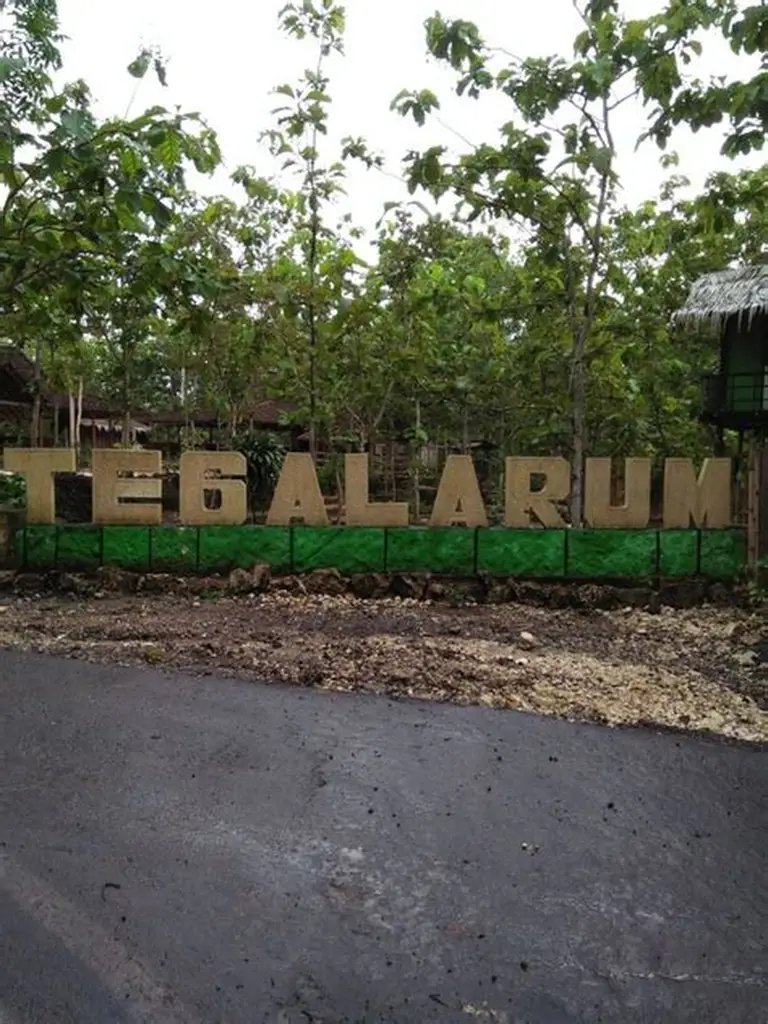 Desa Wisata Tegalarum - Kawasan Borobudur