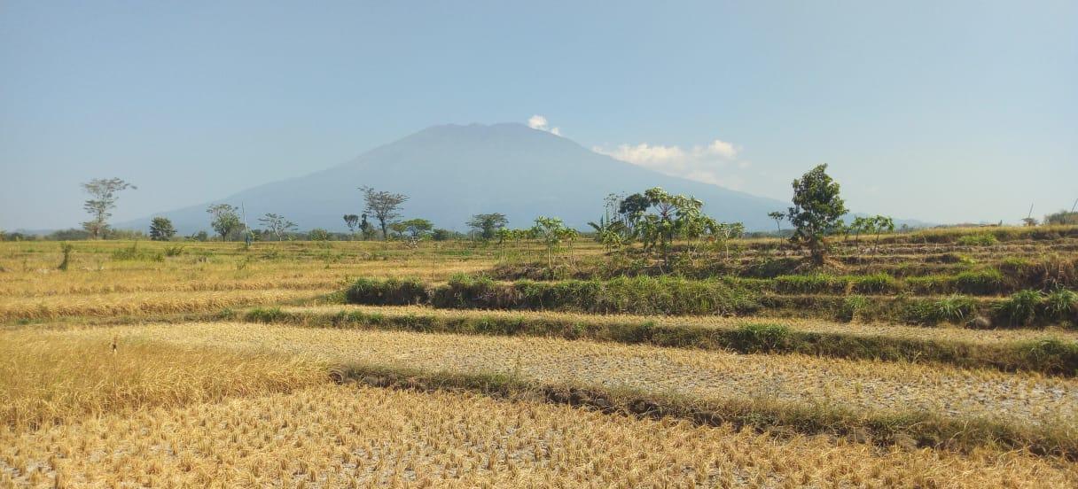 Desa Wisata Giripurno - Kawasan Borobudur
